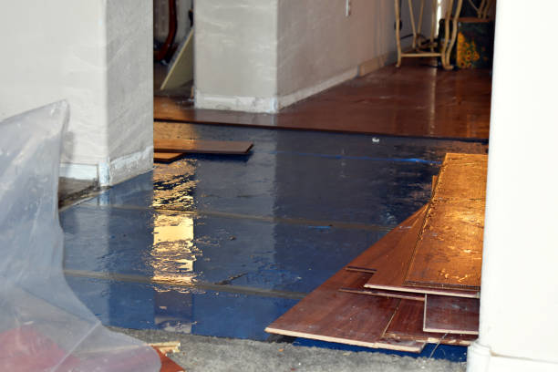 Professional Crawl Space Water Removal technician working in Runnemede, NJ
